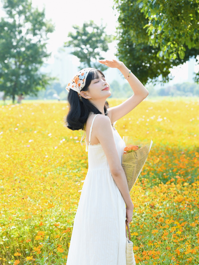 莲花楼 封面